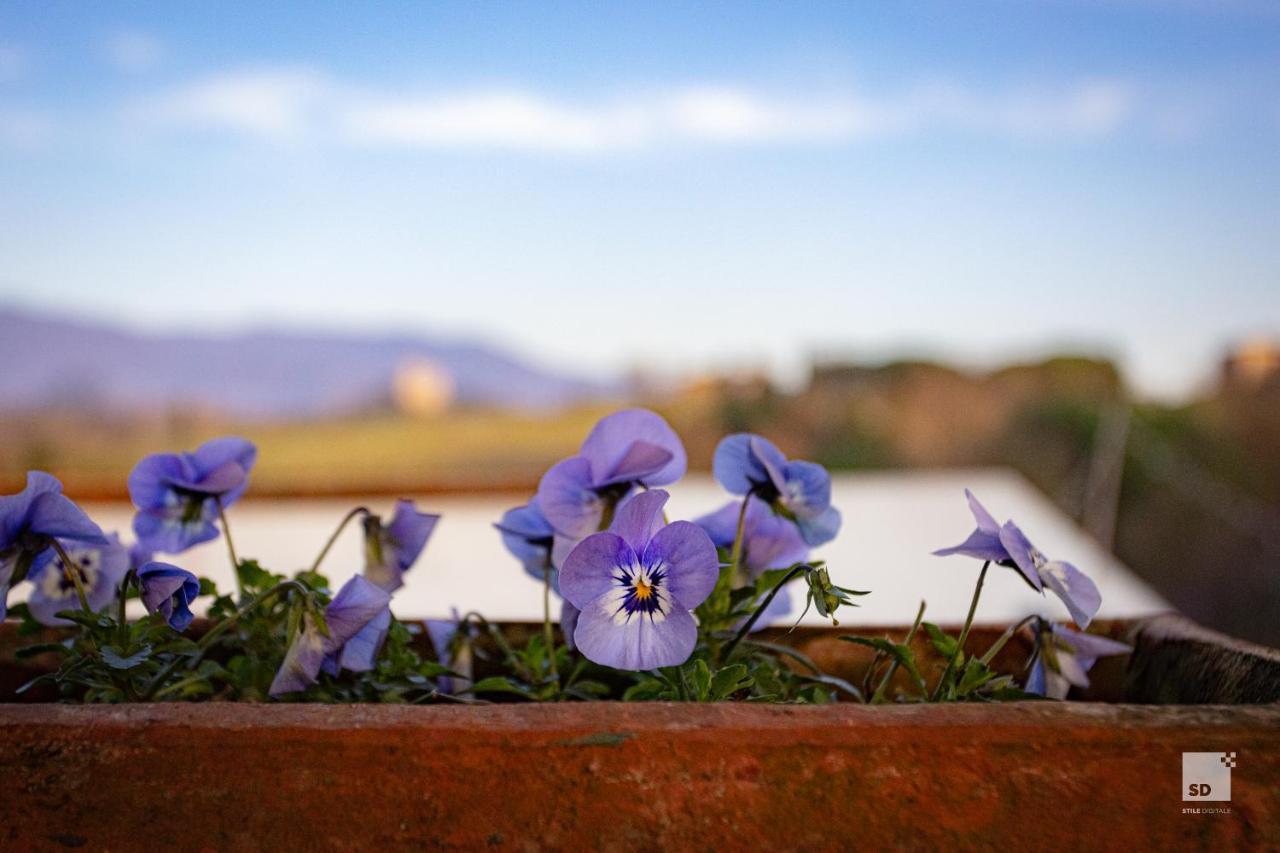 Tenuta Il Burchio Incisa in Val d'Arno Bagian luar foto